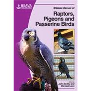 BSAVA Manual of Raptors, Pigeons and Passerine Birds by Chitty, John; Lierz, Michael, 9781905319046