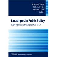 Paradigms in Public Policy by Carson, Marcus; Burns, Tom R.; Calvo, Dolores, 9783631579053