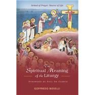 The Spiritual Meaning of the Liturgy by Boselli, Goffredo; Hudock, Barry; De Clerck, Paul, 9780814649060