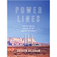 Power Lines by Needham, Andrew, 9780691139067