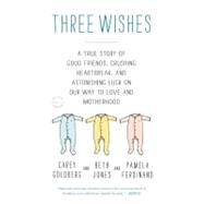 Three Wishes A True Story of Good Friends, Crushing Heartbreak, and Astonishing Luck on Our Way to Love and Motherhood by Jones, Beth; Goldberg, Carey; Ferdinand, Pamela, 9780316079075