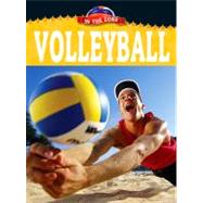 Volleyball by Wiseman, Blaine, 9781605969084