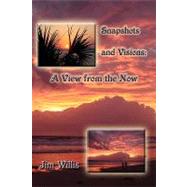 Snapshots and Visions : A View from the Now by Willis, Jim, 9781438919096