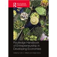 Routledge Handbook of Entrepreneurship in Developing Economies by Williams; Colin C., 9781138849143