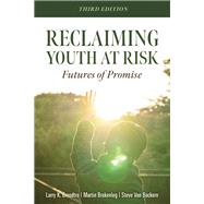 Reclaiming Youth at Risk by Brendtro, Larry K.; Brokenleg, Martin; Van Bockern, Steve, 9781949539158