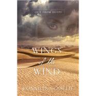 Wings of the Wind by Cossette, Connilyn, 9781432839161