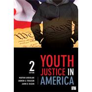 Youth Justice in America by Ahranjani, Maryam; Ferguson, Andrew G.; Raskin, Jamin B., 9781483319162