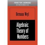 Algebraic Theory of Numbers by Weyl, Hermann, 9780691059174