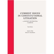 Current Issues in Constitutional Litigation: A Context and Practice Casebook, Third Edition by Sarah E. Ricks; Evelyn M. Tenenbaum, 9781531019181