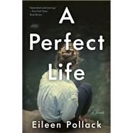 A Perfect Life by Pollack, Eileen, 9780062419187