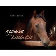 A Little Bit About Little Bit by Hayes, Mary, 9781098359188
