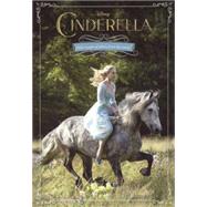 Cinderalla: Junior Novel by Rudnick, Elizabeth, 9780606359191