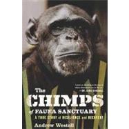 Chimps of Fauna Sanctuary : A True Story of Resilience and Recovery by Westoll, Andrew, 9780547549200