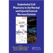 Endothelial Cell Plasticity in the Normal and Injured Central Nervous System by Herrera; Esperanza MelTndez, 9781466599215