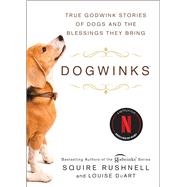 Dogwinks True Godwink Stories of Dogs and the Blessings They Bring by Rushnell, SQuire; DuArt, Louise, 9781982149222