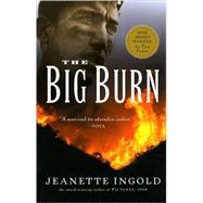 The Big Burn by Ingold, Jeanette, 9780152049249