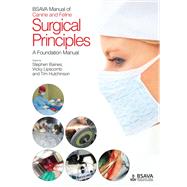 BSAVA Manual of Canine and Feline Surgical Principles A Foundation Manual by Baines, Stephen; Lipscomb, Vicky; Hutchinson, Tim, 9781905319251