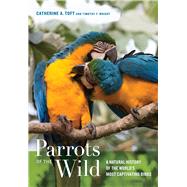 Parrots of the Wild by Toft, Catherine A.; Wright, Timothy F.; Gilardi, James D., 9780520239258