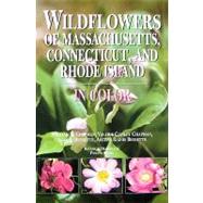 Wildflowers of Massachusetts, Connecticut, and Rhode Island in Color by Chapman, William K., 9780815609261