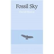 Fossil Sky by Hinton, David, 9780972869270