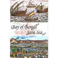 Between the Bay of Bengal and the Java Sea Trade Routes, Ancient Ports and Cultural Commonalities in Southeast Asia by Isa, Mariana; Kaur, Maganjeet, 9789814779272