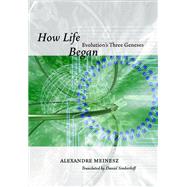 How Life Began by Meinesz, Alexandre, 9780226519319