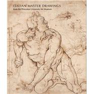 Italian Master Drawings from the Princeton University Art Museum by Giles, Laura M.; Markey, Lia; Van Cleave, Claire; Iotti, Alessandra Bigi (CON); Bober, Jonathan (CON), 9780300149326