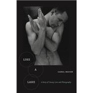 Like a Lake by Carol Mavor, 9780823289349