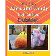 Zach and Candy Get Locked Outside by Bell, Lillian; Callcott, Gillian, 9781505439366