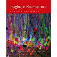 Imaging in Neuroscience A Laboratory Manual by Helmchen, Fritjof; Konnerth, Arthur; Yuste, Rafael, 9780879699383