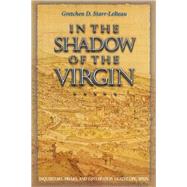 In the Shadow of the Virgin by Starr LeBeau, Gretchen D., 9780691139388