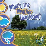 What's the Weather Like Today? by Storad, Conrad J., 9781617419393