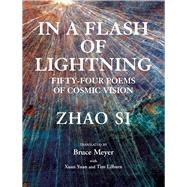 In a Flash of Lightning Fifty-Four Poems of Cosmic Vision by Si, Zhao; Xuan, Yuan; Meyer, Bruce; Lilburn, Tim, 9781550969412