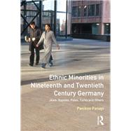 Ethnic Minorities in 19th and 20th Century Germany: Jews, Gypsies, Poles, Turks and Others by Panayi; Panikos, 9781138139428