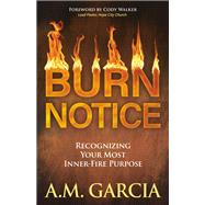 Burn Notice by Garcia, A. M.; Walker, Cody, 9781642799446