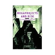 Megaprojects and Risk: An Anatomy of Ambition by Bent Flyvbjerg , Nils Bruzelius , Werner Rothengatter, 9780521009461