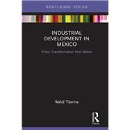 Industrial Development in Mexico by Tijerina, Walid, 9780367209469