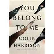 You Belong to Me A Novel by Harrison, Colin, 9780374299477