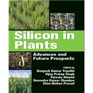 Silicon in Plants: Advances and Future Prospects by Tripathi; Durgesh Kumar, 9781498739498