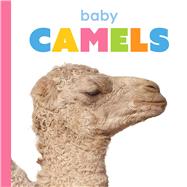 Baby Camels by Thompson, Kim, 9781628329513