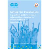 Laying the Foundations by Cooper, Vanessa; Martinez, Anna; Lees, Jane; Sex Education Forum, 9781907969515