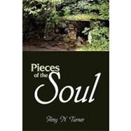 Pieces of the Soul by Turner, Amy N., 9781438989532