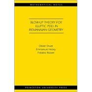 Blow-Up Theory for Elliptic Pdes in Riemannian Geometry by Druet, Olivier; Hebey, Emmanuel; Robert, Frederic, 9780691119533