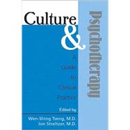 Culture and Psychotherapy: A Guide to Clinical Practice by Tseng, Wen-Shing, 9780880489553