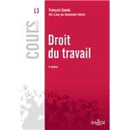 Droit du travail by Franois Gaudu; Raymonde Vatinet, 9782247129553