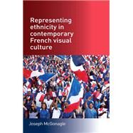 Representing ethnicity in contemporary French visual culture by McGonagle, Joseph, 9780719079559