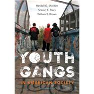 Youth Gangs in American Society by Shelden, Randall; Tracy, Sharon; Brown, William, 9781133049562