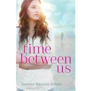 Time Between Us by Stone, Tamara Ireland, 9781423159568