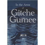 In The Arms Of Gitche Gumee The Political Journey Of Evangeline LeBlanc by Hill, James P., 9781667859576