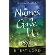 The Names They Gave Us by Lord, Emery, 9781619639584